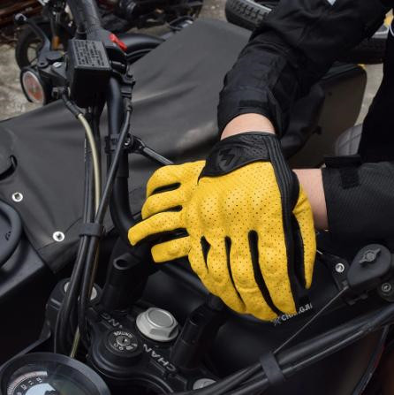 Lightning Metal Logo Motorcycl - Horse Riding Glove avis et prix