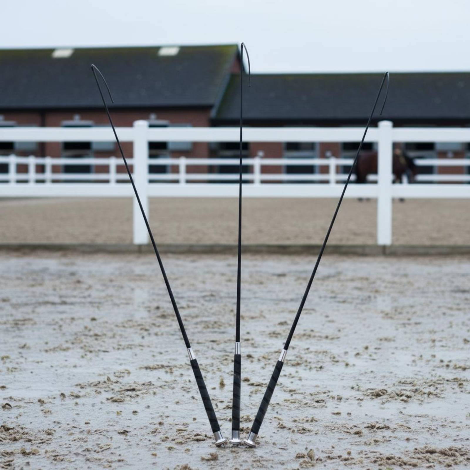 3 Pieces Dressage Training Whi - Riding Crop Dressage avis et prix